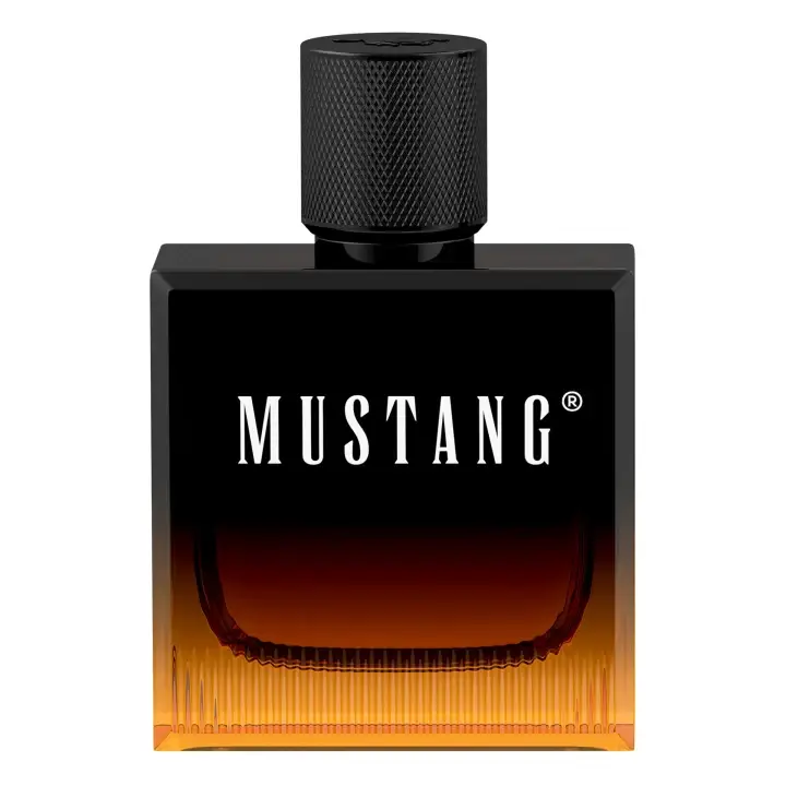 Aktuální Mustang Amber Signature Pánská EDT 50 ml
