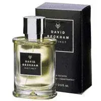 David Beckham InstinctToaletní voda tester pro muže 75 ml Autentický