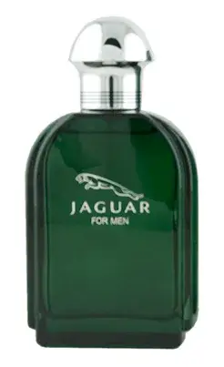 Cenový Hit Jaguar Jaguar Toaletní voda pro muže 100 ml tester