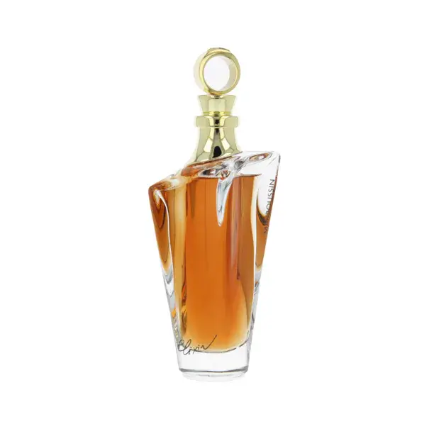 Novinka Mauboussin Elixir Pour Elle Parfémovaná voda pro ženy 100 ml