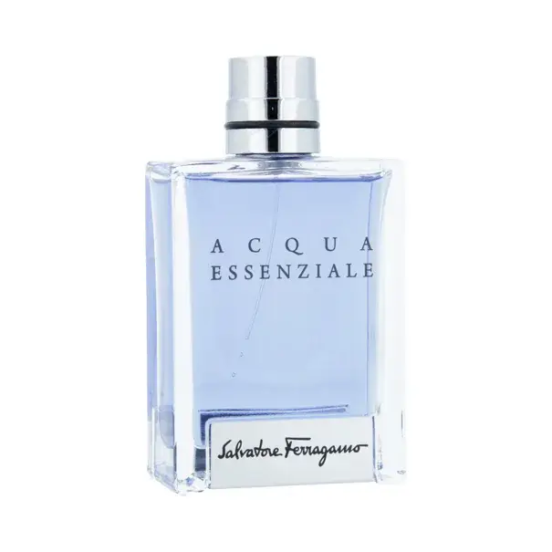 Ferragamo Acqua EssenzialeToaletní voda pro muže 100 ml Top Prodej