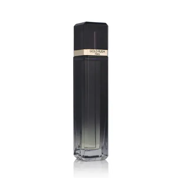 Akční Nabídka Paris Hilton Gold Rush Toaletní voda pro muže 100 ml tester