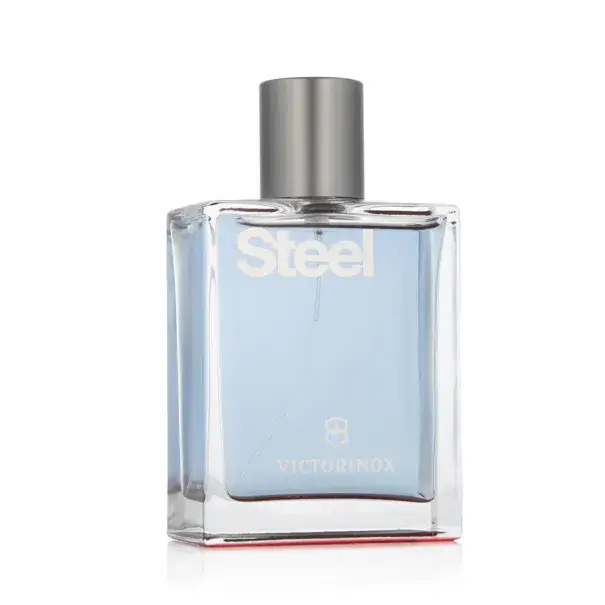 Victorinox SteelToaletní voda pro muže 100 ml Odeslání Ihned